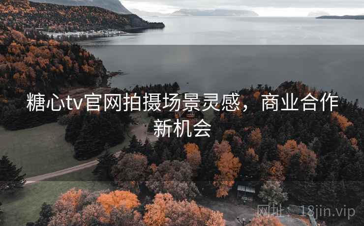 糖心tv官网拍摄场景灵感，商业合作新机会  第2张